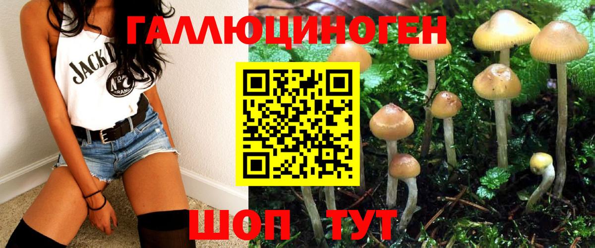 Галлюциногенные грибы MAGIC MUSHROOMS Россия