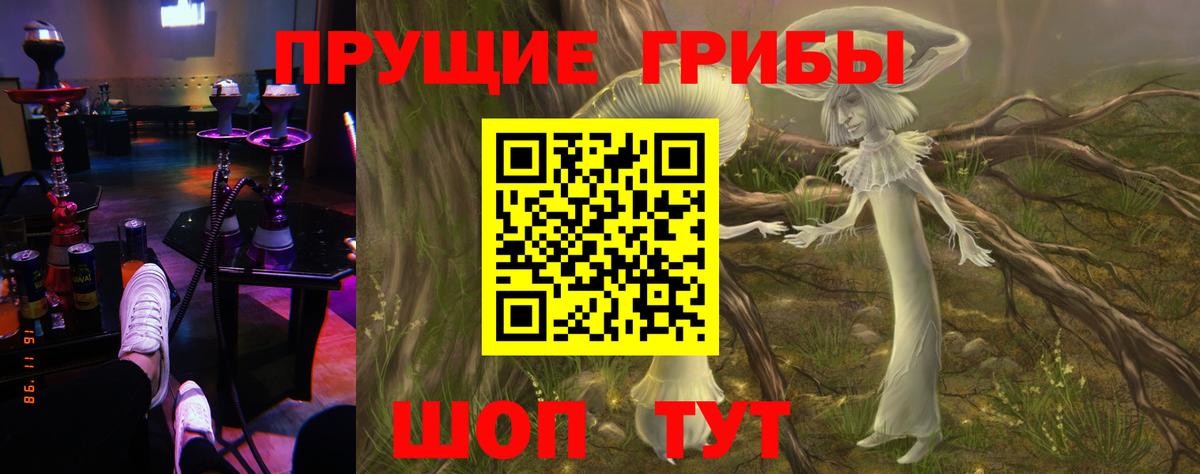Россия  Галлюциногенные грибы Psilocybe  Вход с VPN 